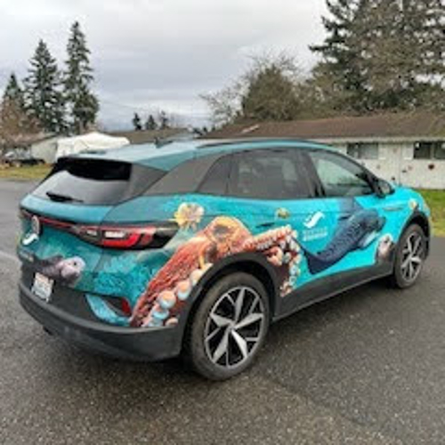 Vehicle Graphics